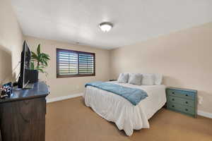 Primary Bedroom featuring baseboards, a textured ceiling, visible vents, and light colored carpet