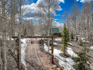 View of street featuring driveway