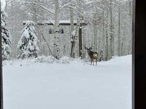 View of yard covered in snow