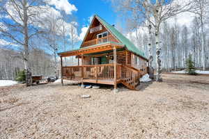 Rear view of house with a deck and metal roof