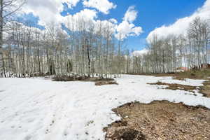 View of yard covered in snow