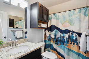 Bathroom featuring visible vents, a shower with curtain, toilet, and vanity