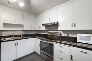 Kitchen featuring a sink, dark countertops, white microwave, under cabinet range hood, and electric stove