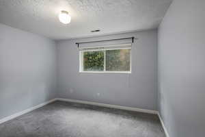 Carpeted empty room featuring a textured ceiling, visible vents, and baseboards