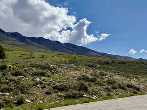 Gound view looking North at mountain view from front of the lot.