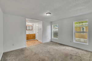 Unfurnished bedroom with baseboards, multiple windows, light carpet, and a textured ceiling