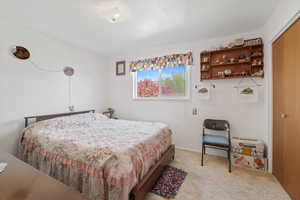 Bedroom with light colored carpet