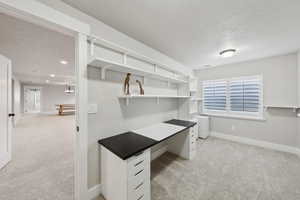 Walk in closet with light carpet