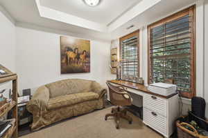 Home office featuring visible vents, carpet, and a tray ceiling