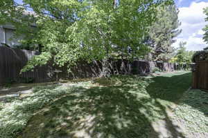 Common Yard Area