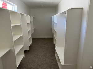 Walk in closet featuring dark colored carpet