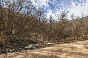 View of nature