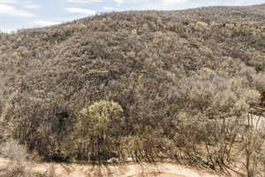 View of mountain feature with a view of trees