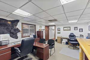 Carpeted office space with a drop ceiling