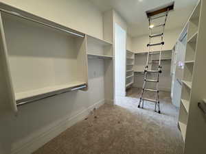 Spacious closet featuring carpet flooring