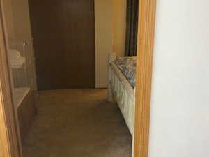 Bedroom with light colored carpet