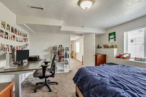 Bedroom with carpet floors, a textured ceiling, visible vents, and multiple windows