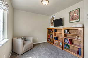 Sitting room featuring baseboards and carpet