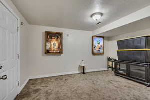 Interior space with baseboards, a textured ceiling, and carpet