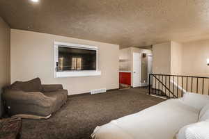 Living area with carpet floors, a textured ceiling, baseboards, and visible vents