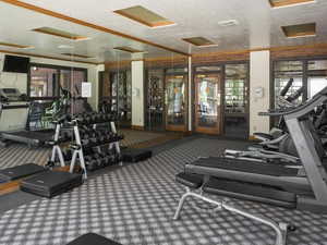 Exercise room featuring attic access, a textured ceiling, carpet flooring, and ornamental molding