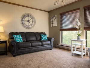 Living room featuring a healthy amount of sunlight, carpet flooring, and ornamental molding