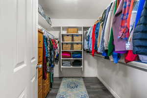 Spacious closet featuring wood finished floors