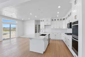 Kitchen featuring recessed lighting, light wood-style floors, appliances with stainless steel finishes, and a sink