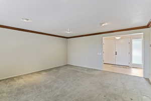 Unfurnished room featuring crown molding and light colored carpet