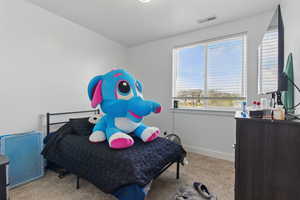 Bedroom featuring visible vents, carpet floors, and baseboards