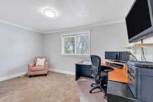 Bedroom #2 on main level can also be an office