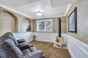 Cozy gas stove in basement family room