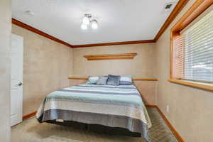 Basement bedroom has lots of natural light