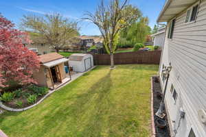 View of back yard
