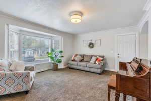 Living room has lots of natural light