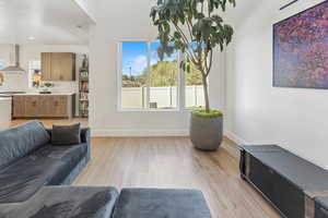 Living area featuring light wood-style floors, baseboards, and a wealth of natural light