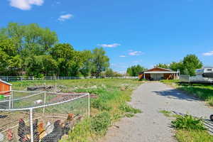 View of yard featuring fence, dirt driveway, and a rural view