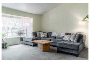 Living area featuring carpet floors and a wealth of natural light