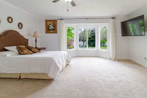 Bedroom with a decorative wall, crown molding, wainscoting, and carpet floors