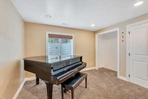 Basement bedroom