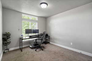 Office space with baseboards, carpet, and a textured ceiling