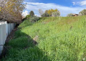 Back of yard showing slope (easy to have a walkout basement)
