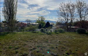 Back yard view