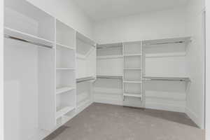 Spacious closet featuring carpet floors