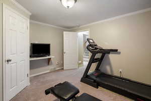 Exercise area or additional bedroom
