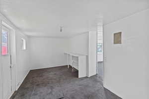 Basement with carpet flooring and electric panel