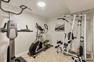 Workout area featuring crown molding, carpet, and baseboards
