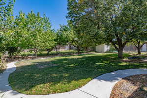 View of backyard