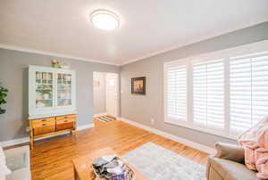 Living area featuring baseboards, ornamental molding, and light wood finished floors