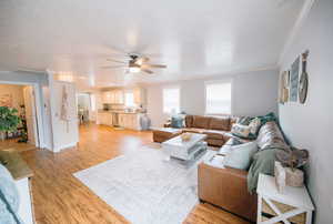 Living room featuring crown molding, ceiling fan, baseboards, and light wood-style flooring